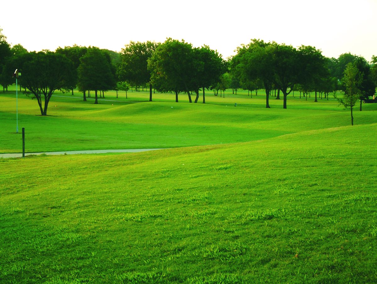 Golf course green lined with trees