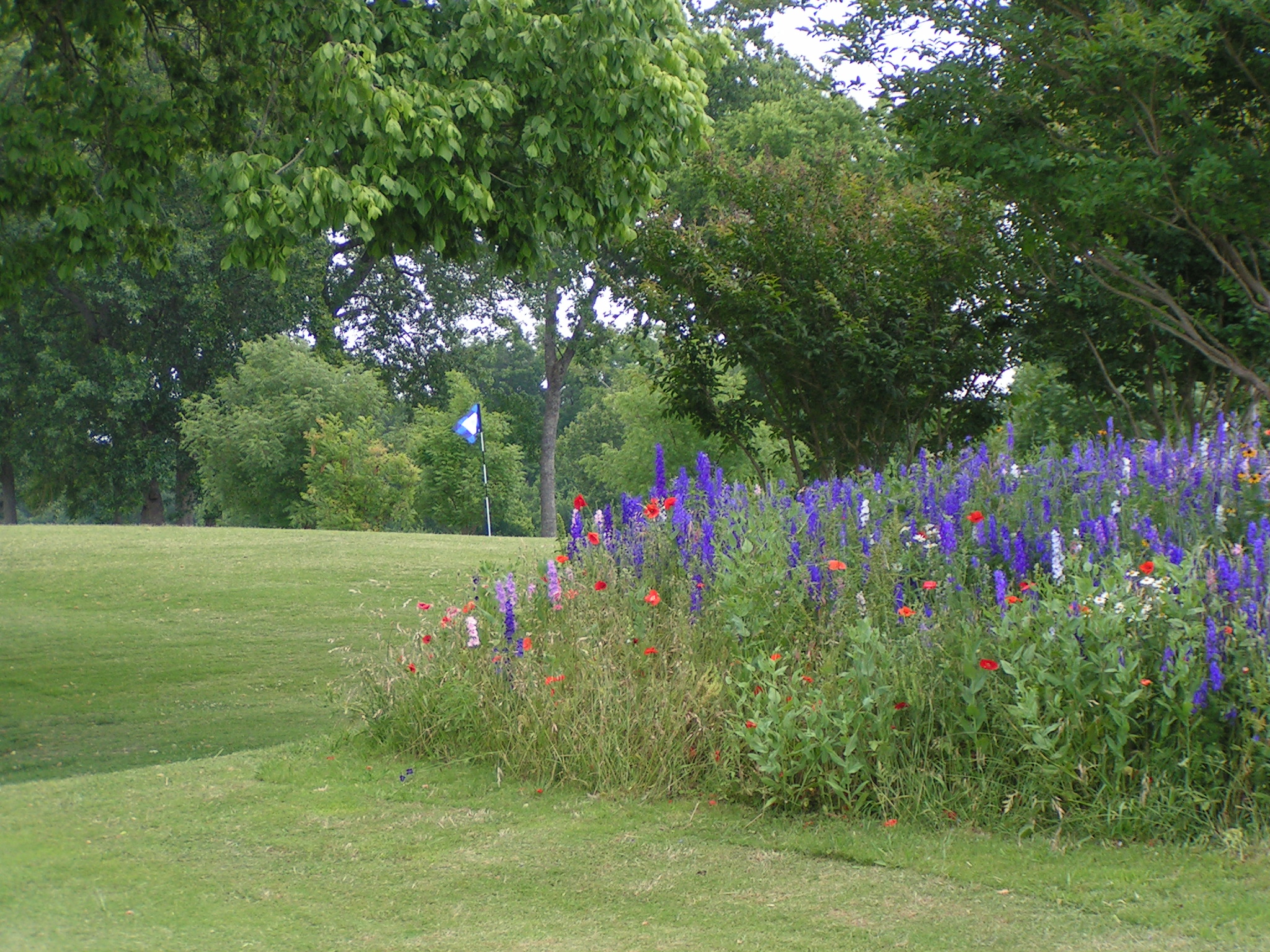 Flowers on golf course